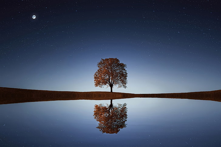 landscape, nature, night sky, water, trees, reflection, star - space