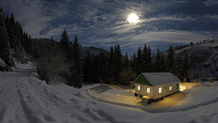 white and green house, nature, landscape, night, Moon, moonlight