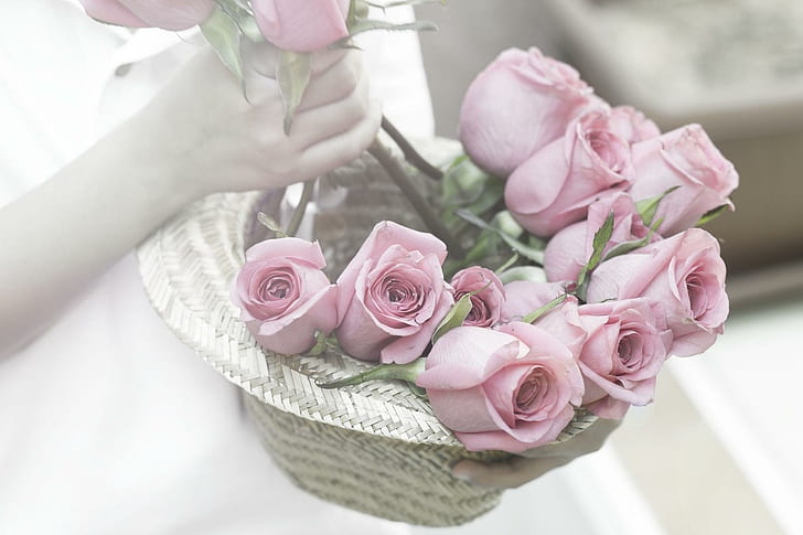 Basket Roses, lovely, for you, sweet, pastel, pink, nature and landscapes