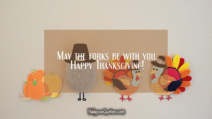 two turkeys with text overlay, Thanksgiving, holiday, typography, HD wallpaper