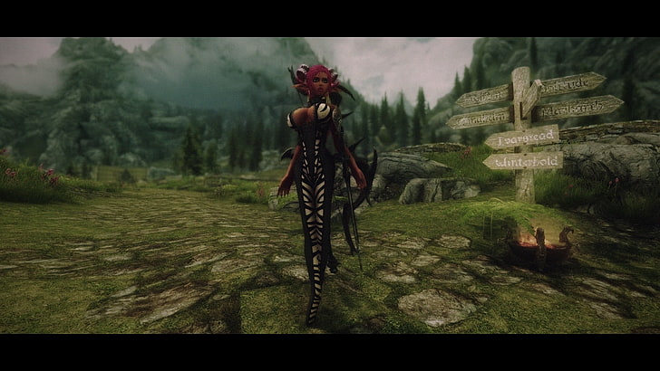 game character screenshot, zebras, video games, The Elder Scrolls V: Skyrim, HD wallpaper