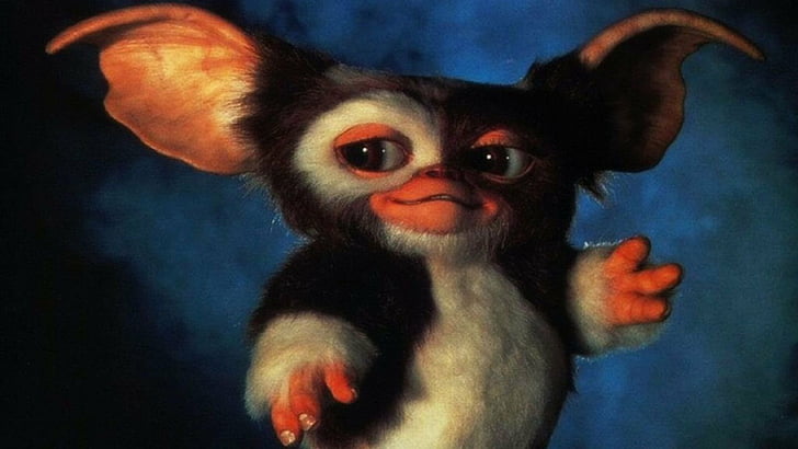 Hd Wallpaper Movie Gremlins 2 The New Batch Gizmo Wallpaper Flare