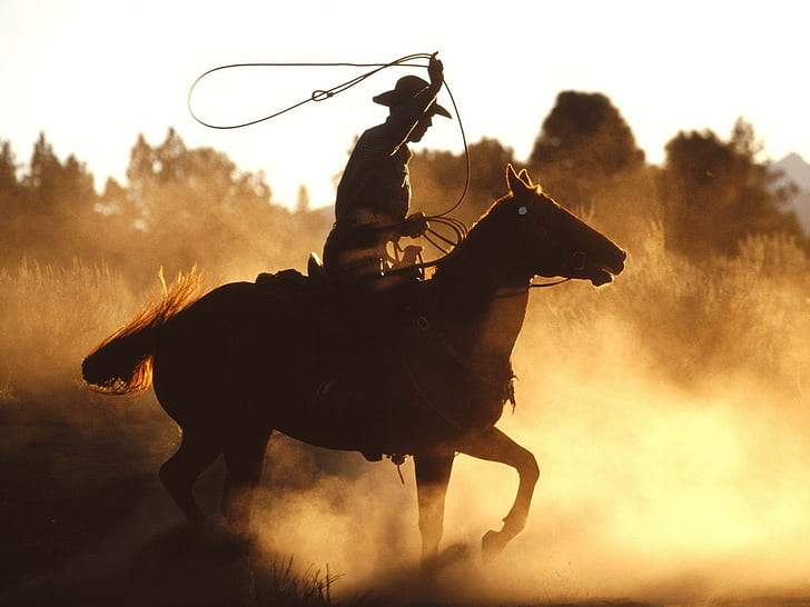 Lasso Rope Dust Horse Cowboy Shadow Silhouette HD, animals, HD wallpaper