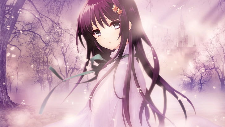 mist, anime girls, cherry blossom, purple, HD wallpaper