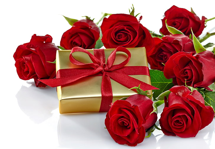 red rose flowers and brown gift box, roses, love, bow, romantic