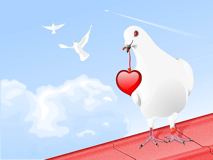 HD wallpaper: white bird with heart wallpaper, pigeon, birds, hearts, paint  | Wallpaper Flare