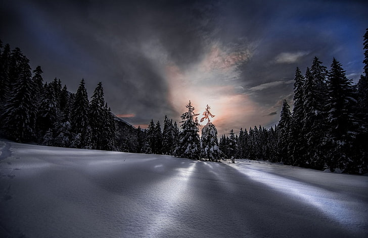 Hd Wallpaper Nature Photography Landscape Winter Snow Forest Sunset Wallpaper Flare
