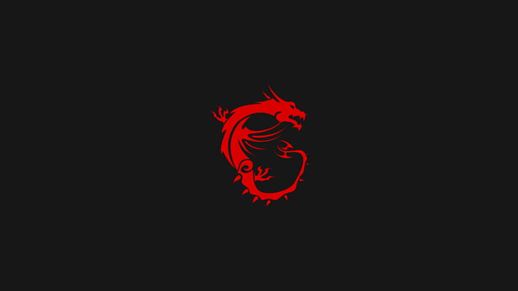 simple, dragon, computer, minimalism, logo, MSI
