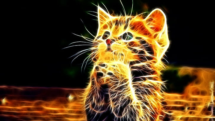 Cute, neon, kitten, cat, digital art, 2560x1440, HD wallpaper