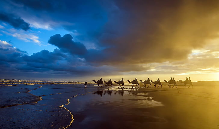photography, sunset, camels, HD wallpaper