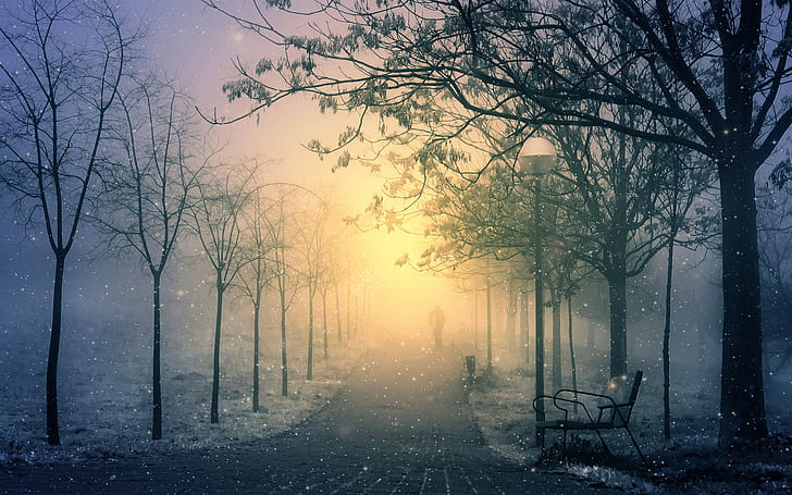Winter park morning, snow, path, lantern, bench, trees