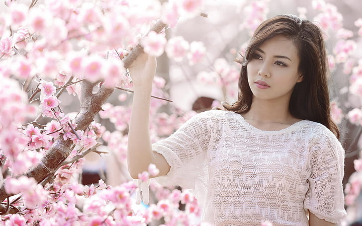 Pink cherry flowers, asian girl white clothes, HD wallpaper