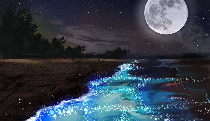 full moon, artwork, sky, stars, forest, water, clouds, beach