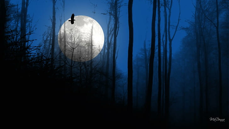 As The Crow Flies, trees moon and bird, raven, full moon, woods, HD wallpaper