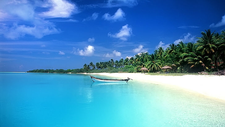 tropical, sea, boat, palm trees, beach, water, scenics - nature, HD wallpaper