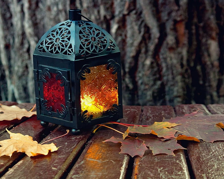 Lantern Leaves Autumn HD, nature, HD wallpaper