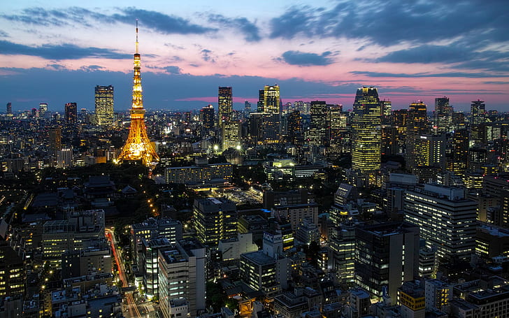 Japan capital Tokyo, city lights, tower, houses, skyscrapers, dusk