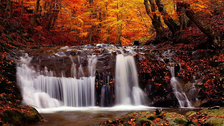 orange and red maple trees and waterfall, nature, landscape, river