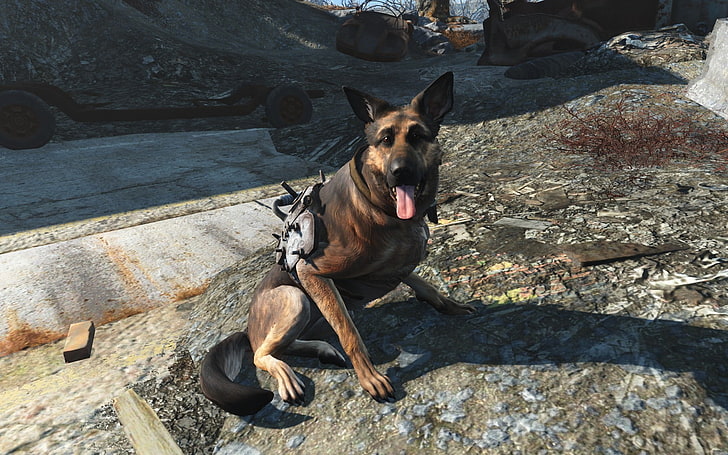 Fallout 4, Dogmeat, video games, one animal, animal themes, HD wallpaper