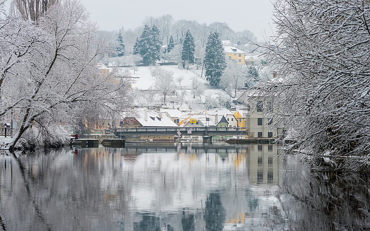 Czech Republic, Prague, snow covered trees, river Vltava, winter