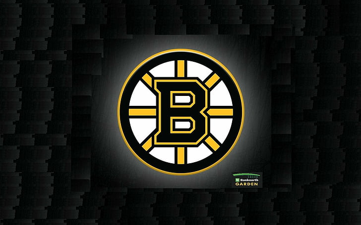 boston, bruins, hockey, nhl, HD wallpaper