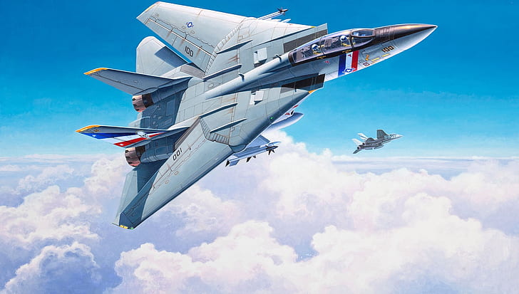 Grumman F-14 Tomcat, artwork, military, vehicle, military aircraft, HD wallpaper