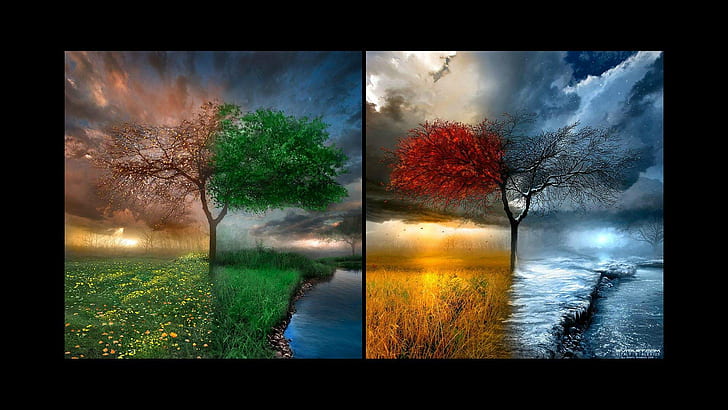 Four Seasons HD, autumn, spring, summer, winter, HD wallpaper