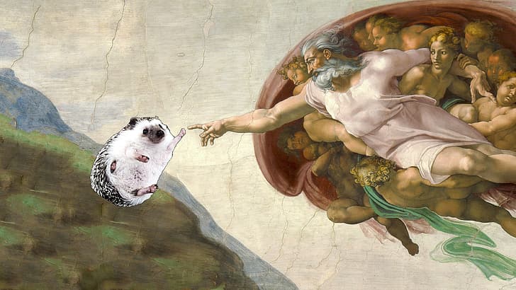 hedgehog, The Creation of Adam, Michelangelo, classical art, HD wallpaper