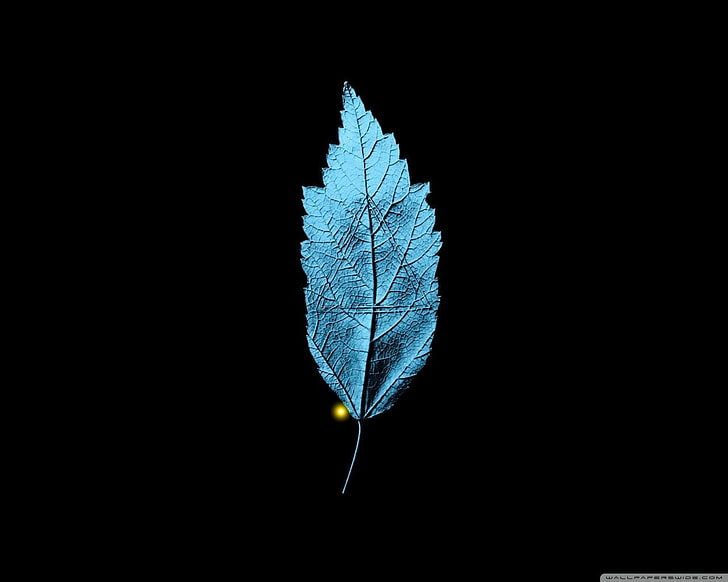 blue leaf, Fringe (TV series), leaves, plant part, nature, no people, HD wallpaper