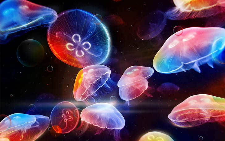 Ocean Underwater World Of Dancing Jellyfish  Widescreen Desktop Background