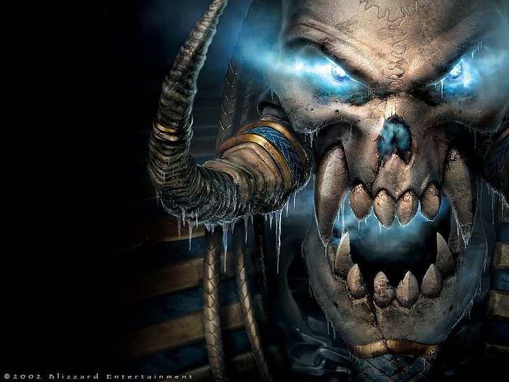 2002 Blizzard Entertainment skull character digital wallpaper