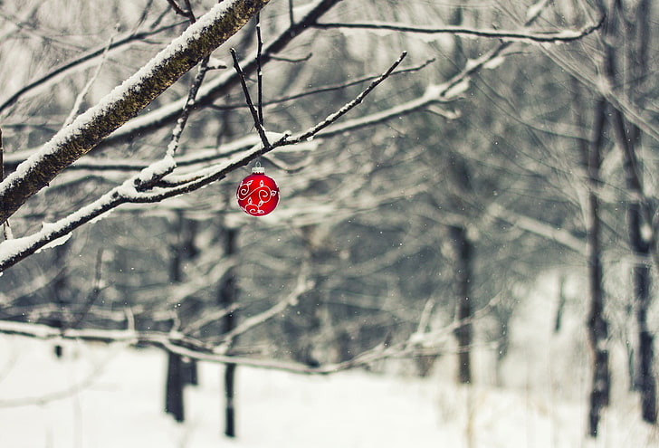 white and red floral textile, trees, Christmas ornaments , snow, HD wallpaper