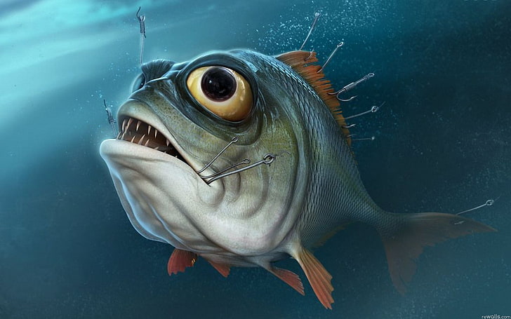 gray fish with many hooks illustration, eyes, water, fishing
