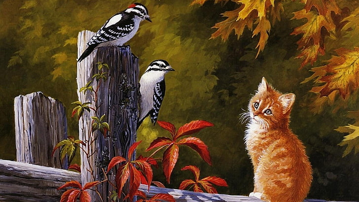 fauna, painting, bird, art, cat, beak, wildlife, acrylic paint