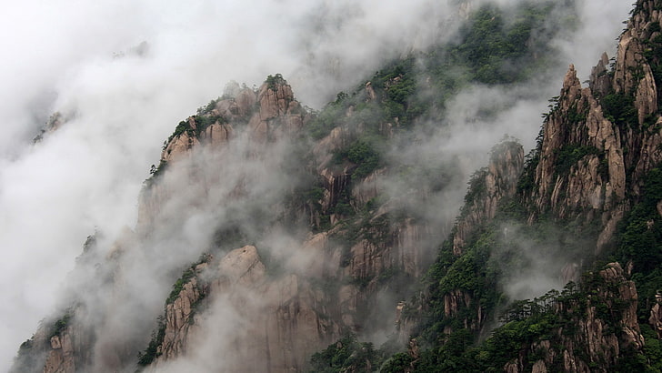 mountain rage view, China, mountains, fog, tree, beauty in nature, HD wallpaper