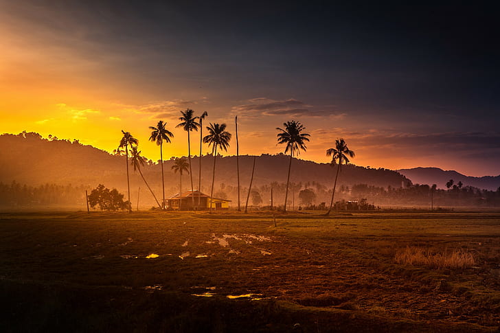 Malaysia, Sunset, sunrise in farm painting, hut, palm trees, jungle, HD wallpaper
