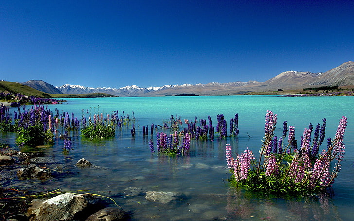 New Zealand Lake Tekapo Nature HD Wallpaper, water, sky, mountain, HD wallpaper