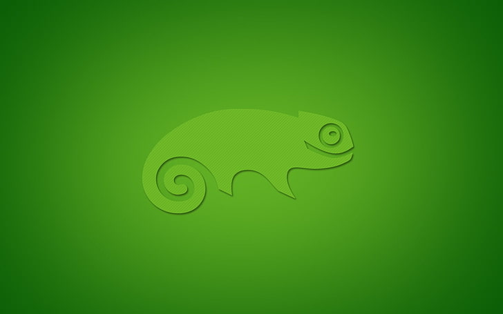 green chameleon illustration, operating system, Linux, computer
