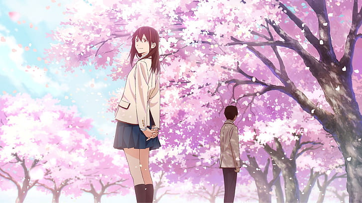 Wallpaper sakura saber katana cherry blossom anime desktop wallpaper hd  image picture background 6fa8cf  wallpapersmug