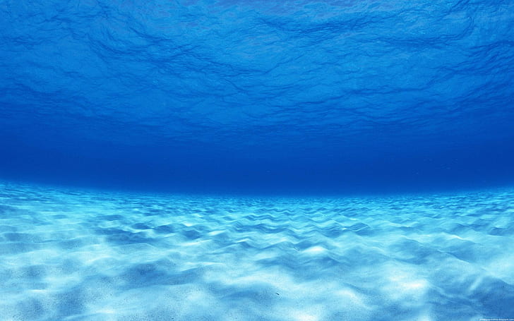 photography, blue, sea, water, underwater, nature, HD wallpaper