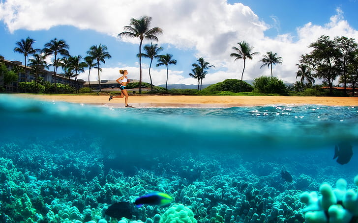 Hawaii beach sunset HD wallpaper download