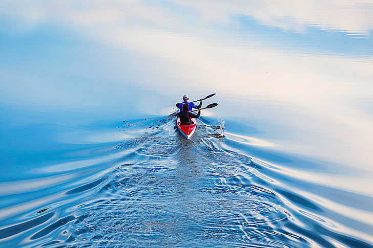 white and red kayak, boating, sports, water, oar, kayaking, rowing