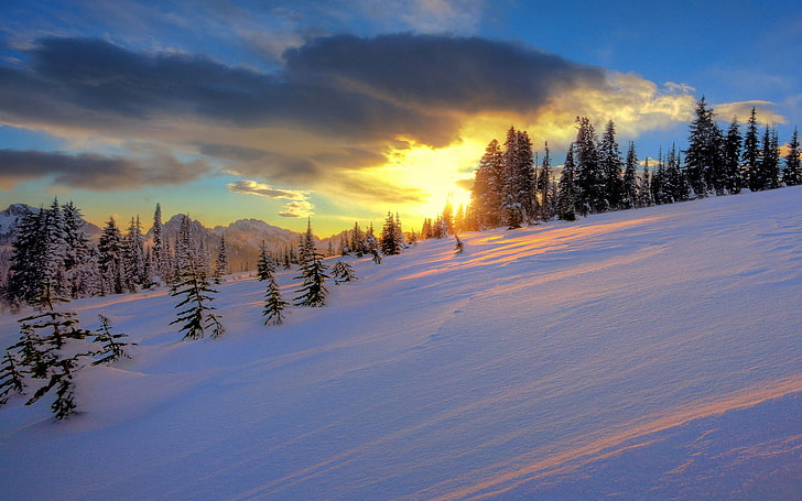 sunset, winter, trees, snow, cold temperature, cloud - sky, HD wallpaper