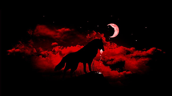 animals, fantasy Art, Moon, night, wolf