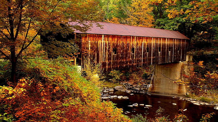 Covered Bridge, vermont, stream, seasons, natural world, tree, HD wallpaper