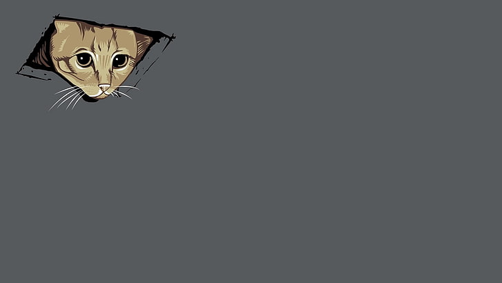 abstract cats kittens ceiling cat simplistic simple Animals Cats HD Art, HD wallpaper