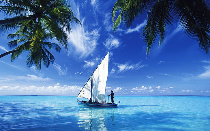 sea, sailing ship, boat, palm trees, HD wallpaper