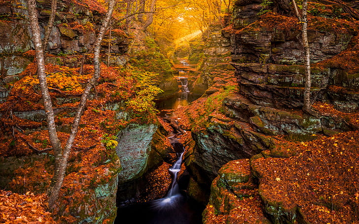 Autumn Forest Rocks Stones Stream Waterfall Timelapse Sunlight Trees HD, HD wallpaper
