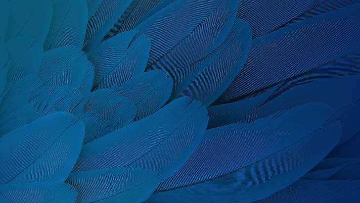 HD wallpaper: Feathers Moto X Play Stock HD | Wallpaper Flare