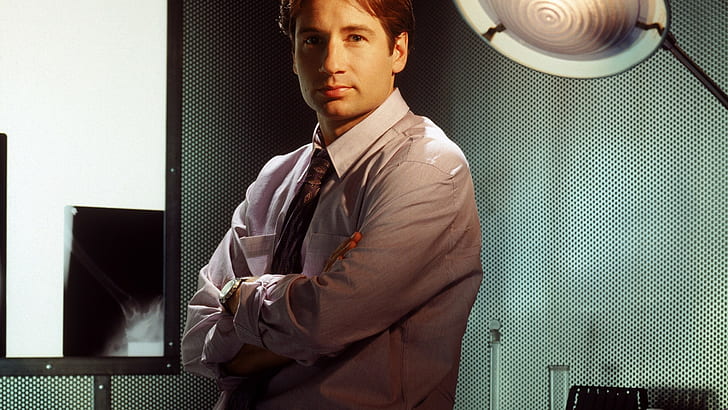 Fox Mulder, The X-Files, David Duchovny, arms crossed, HD wallpaper